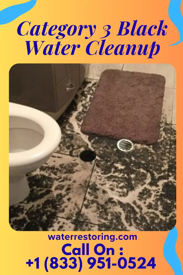 Category 3 Black Water Cleanup in Ullin, IL