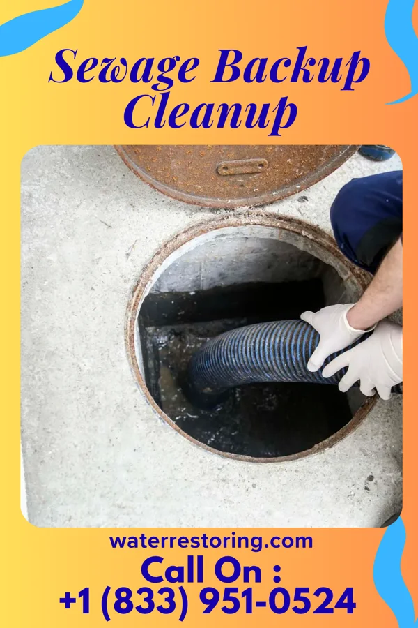 Sewage Backup Cleanup in Ullin, IL