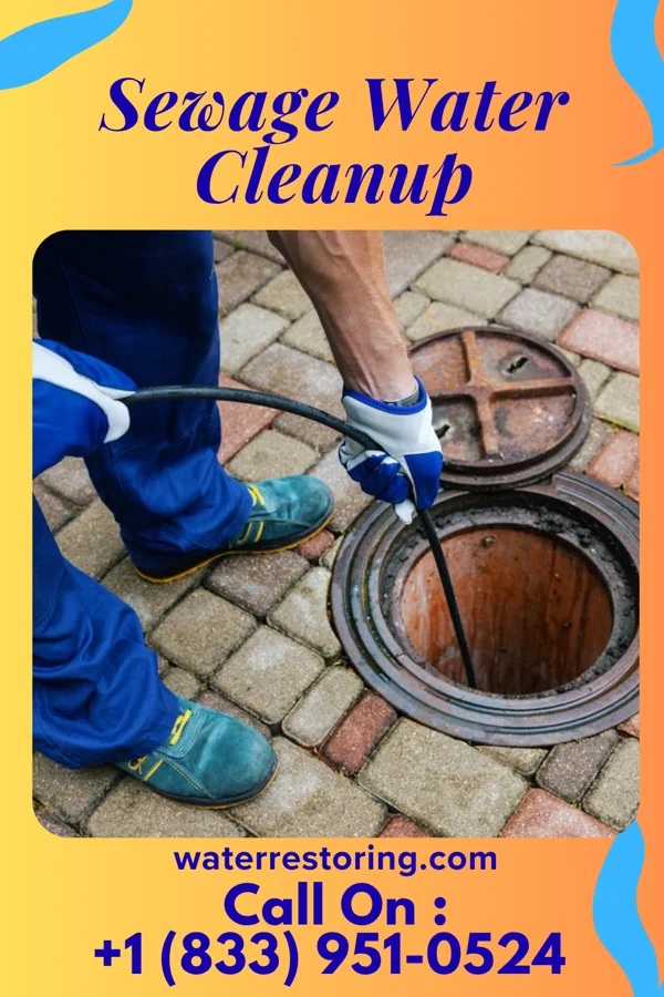 Sewage Water Cleanup in Ullin, IL